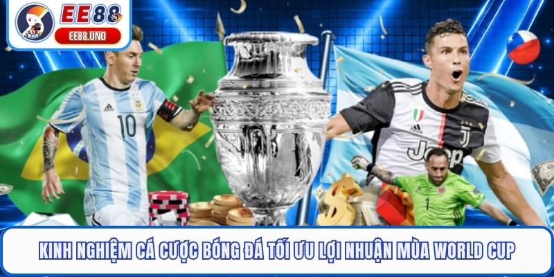 Kinh nghiệm cá cược bóng đá tối ưu lợi nhuận mùa World Cup